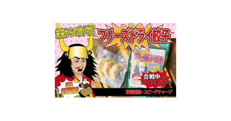 【ふるさと納税】【未来からの贈り物!?】合戦中でもそのまま食べられるフリーズドライ餃子【配送不可地域：離島】【1440718】