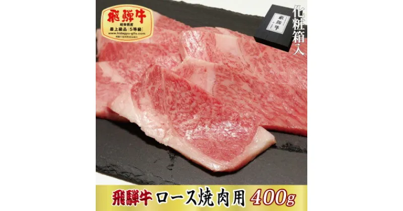 【ふるさと納税】【化粧箱入り・最高級A5等級】飛騨牛ロース焼肉用400g(牛脂付き)【配送不可地域：離島】【1488415】