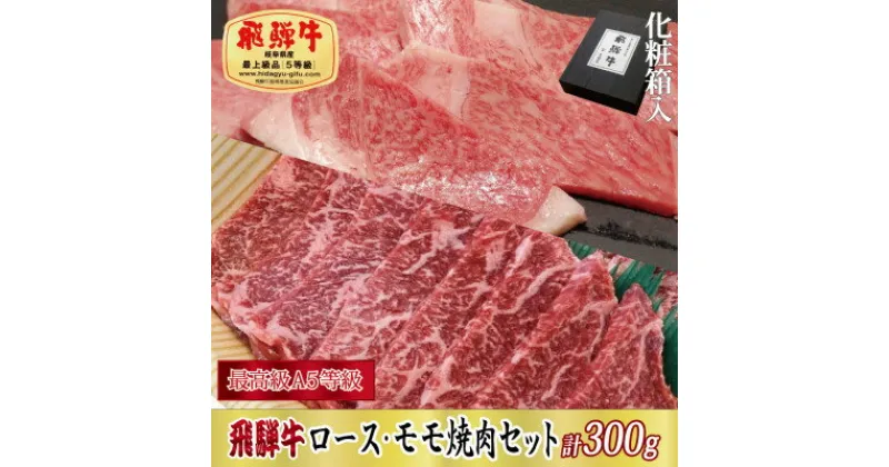 【ふるさと納税】【化粧箱入り・最高級A5等級】飛騨牛ロース・モモ焼肉セット計300g(牛脂付き)【配送不可地域：離島】【1488819】