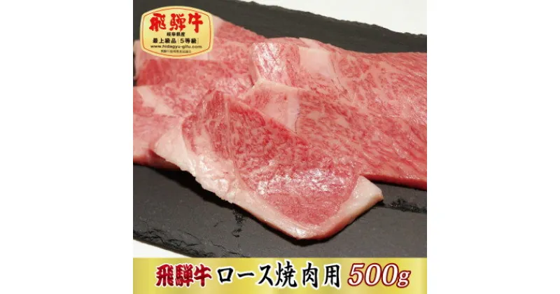 【ふるさと納税】【最高級A5等級】飛騨牛ロース焼肉用500g(牛脂付き)【配送不可地域：離島】【1488954】