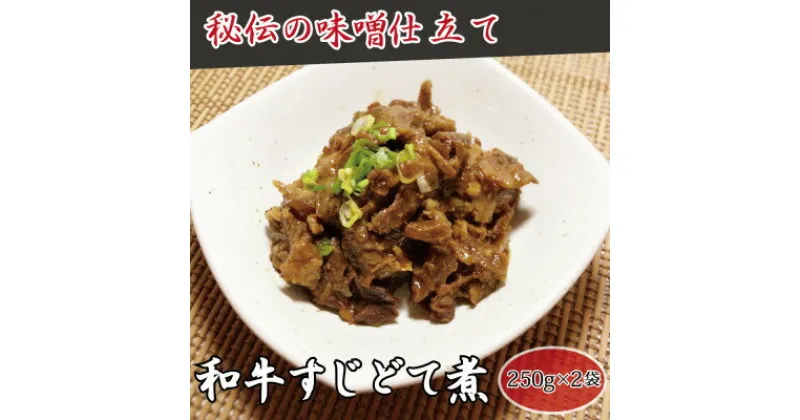 【ふるさと納税】【高木精肉店手作り】和牛すじ どて煮 250g×2袋【配送不可地域：離島】【1488955】