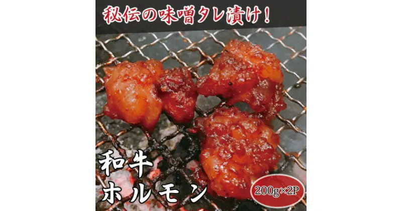 【ふるさと納税】【高木精肉店手作り】秘伝の味噌タレ漬け和牛ホルモン200g×2P【配送不可地域：離島】【1488961】