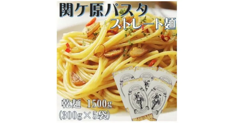 【ふるさと納税】関ケ原パスタ(ストレート麺) 1500g(約15人前)【1494046】