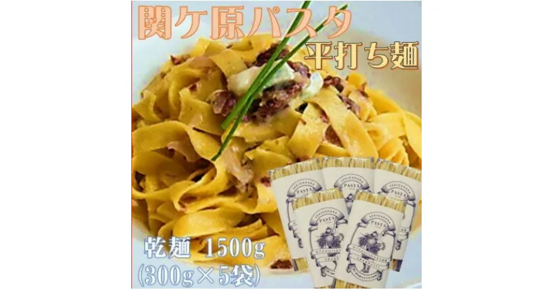 【ふるさと納税】関ケ原パスタ(平打ち麺) 1500g(約15人前)【1494047】