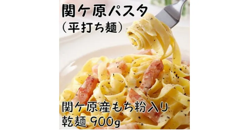 【ふるさと納税】関ケ原パスタ(平打ち麺)900g(約9人前)【1494049】