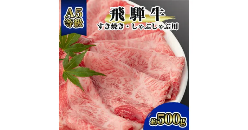 【ふるさと納税】飛騨牛A5等級　モモ・カタ肉スライス　約500g【配送不可地域：離島】【1076920】