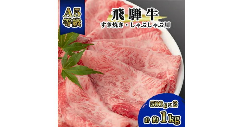 【ふるさと納税】飛騨牛A5等級　モモ・カタ肉スライス　約1kg(500g×2)【配送不可地域：離島】【1125925】