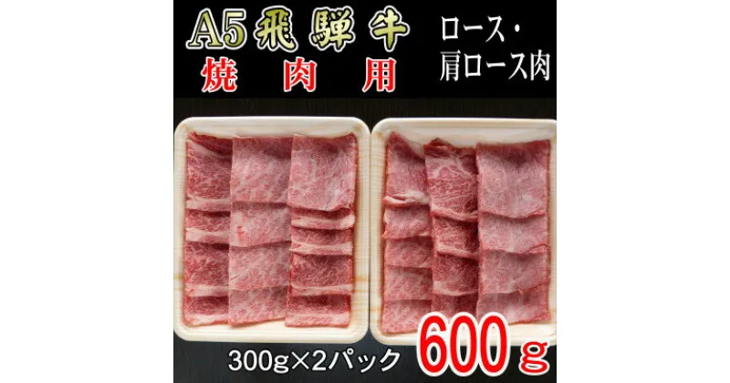 【ふるさと納税】『A5等級』飛騨牛焼肉用600g　ロース又は肩ロース肉【配送不可地域：離島】【1432056】