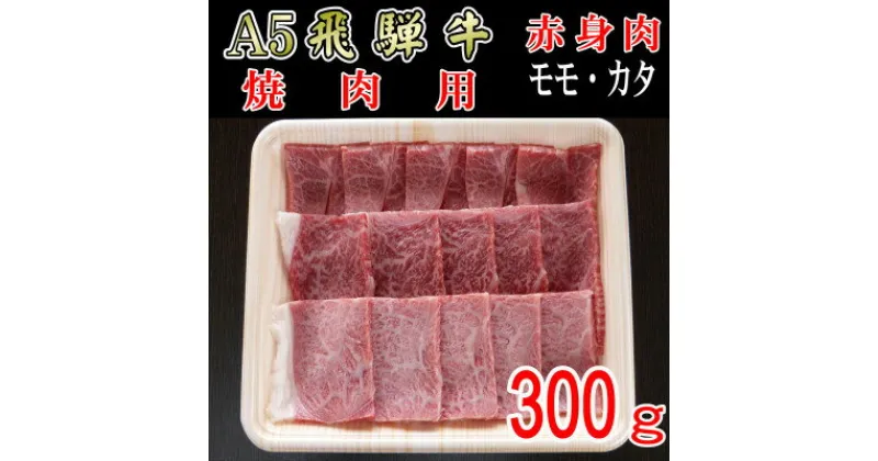 【ふるさと納税】『A5等級』飛騨牛赤身肉焼肉用300g　モモ又はカタ肉【配送不可地域：離島】【1432065】