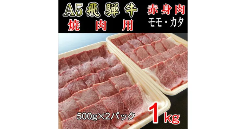 【ふるさと納税】『A5等級』飛騨牛赤身肉焼肉用1kg　モモ又はカタ肉【配送不可地域：離島】【1432070】