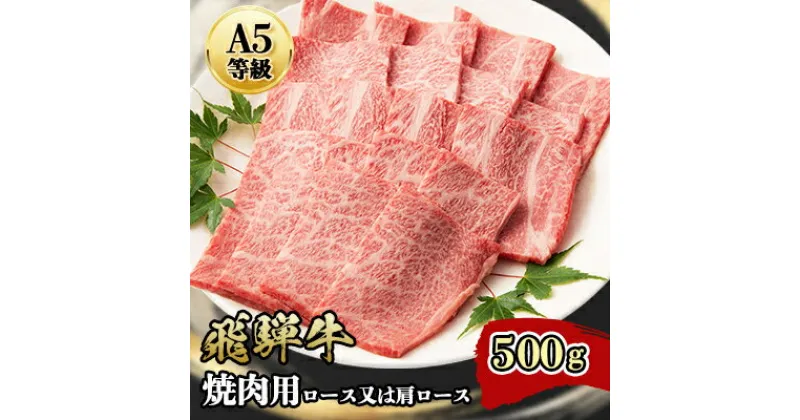 【ふるさと納税】『A5等級』飛騨牛焼肉用500g　ロース又は肩ロース肉【配送不可地域：離島】【1432055】