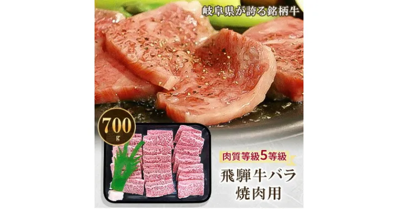 【ふるさと納税】飛騨牛バラ焼肉用 700g【配送不可地域：離島】【1102045】