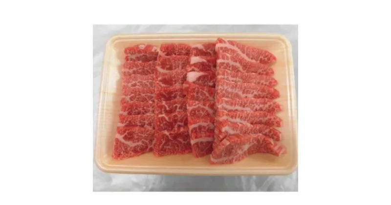 【ふるさと納税】A5等級 飛騨牛バラ焼肉用500g(冷凍)【配送不可地域：離島】【1132912】