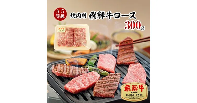 【ふるさと納税】A5等級 飛騨牛ロース焼肉用300g(冷凍)【配送不可地域：離島】【1132918】