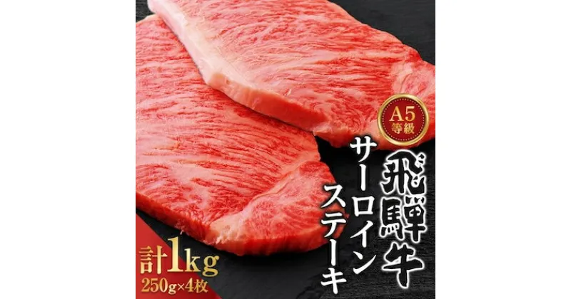 【ふるさと納税】A5ランク飛騨牛サーロインステーキ用1kg【配送不可地域：離島】【1307428】