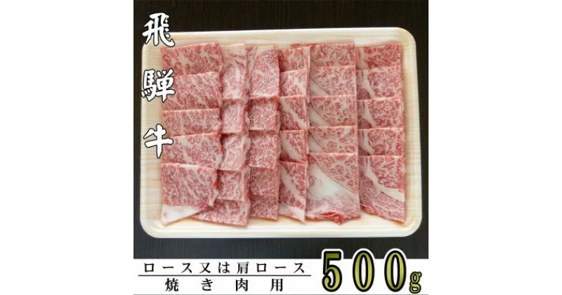 【ふるさと納税】A5ランク飛騨牛焼き肉用500g(ロース又は肩ロース)【配送不可地域：離島】【1307430】