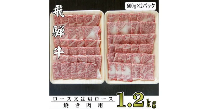 【ふるさと納税】A5ランク飛騨牛焼き肉用1.2kg(ロース又は肩ロース)【配送不可地域：離島】【1307432】