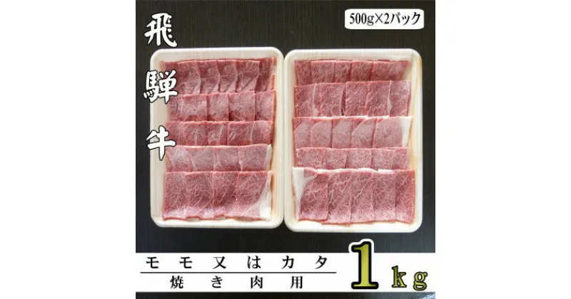 【ふるさと納税】A5ランク飛騨牛赤身肉焼き肉用1kg(モモ又はカタ)【配送不可地域：離島】【1307435】