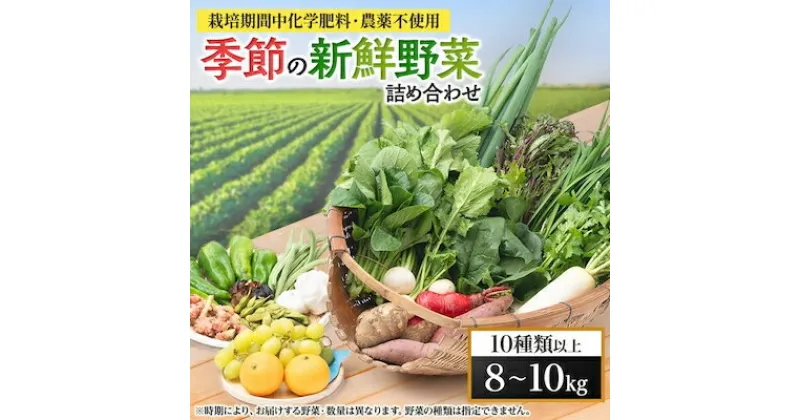 【ふるさと納税】【毎月定期便】【栽培期間中化学肥料・農薬不使用】季節の新鮮野菜の詰め合わせ 全3回【配送不可地域：離島】【4011402】