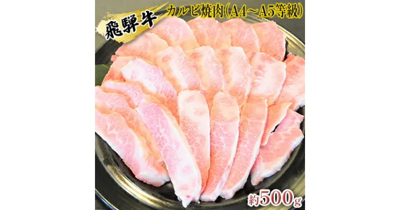 【ふるさと納税】飛騨牛カルビ焼肉（A4～A5等級）約500g（約250g×2パック）　お肉・牛肉・焼肉・バーベキュー・飛騨牛・カルビ・500g