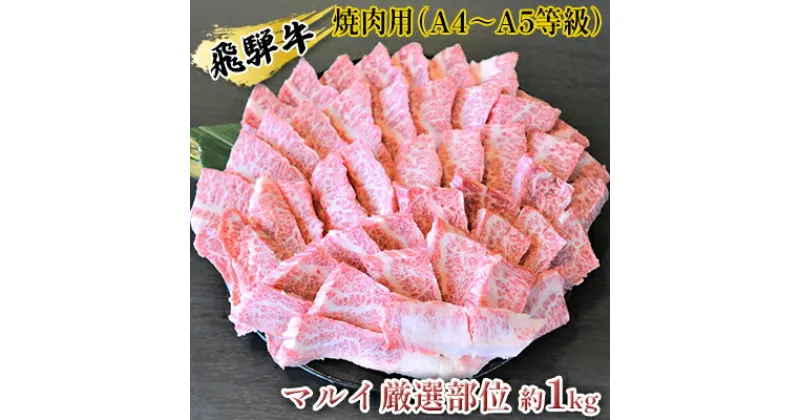 【ふるさと納税】飛騨牛焼肉用（A4～A5等級）マルイ厳選部位約1kg（約500g×2）　お肉・牛肉・焼肉・バーベキュー・飛騨牛・焼肉用・1kg