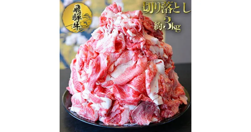 【ふるさと納税】飛騨牛切り落とし約3kg（約500g×6パック）　お肉・牛肉・飛騨牛・切り落とし・約3kg