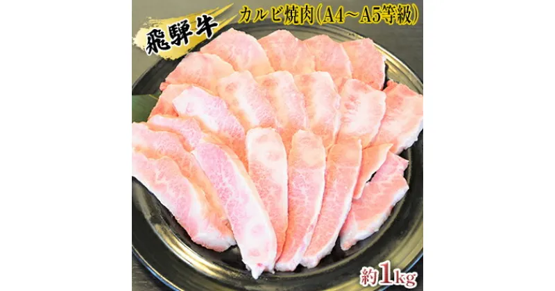 【ふるさと納税】飛騨牛カルビ焼肉（A4～A5等級）約1kg（約250g×4パック）　お肉・牛肉・焼肉・バーベキュー・飛騨牛・カルビ焼肉・約1kg