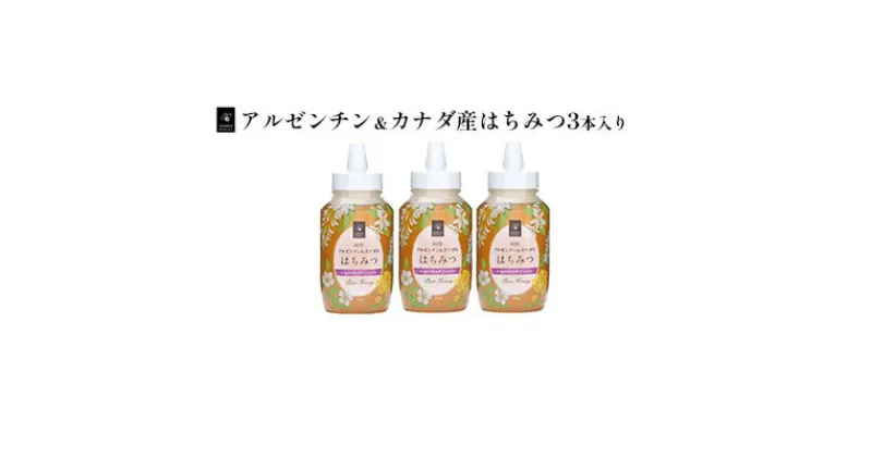 【ふるさと納税】アルゼンチン＆カナダ産はちみつ720g　3本入り　蜂蜜・はちみつ・ハチミツ・ハニー・アルゼンチン産・カナダ産