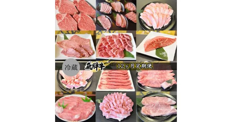 【ふるさと納税】飛騨牛12ヶ月定期便　定期便・ 牛肉 国産 シャトーブリアン 6種盛り カルビ ロース ヒレ 赤身 もも ブロック ステーキ サイコロ すき焼き しゃぶしゃぶ 肩ロース リブロース サーロイン