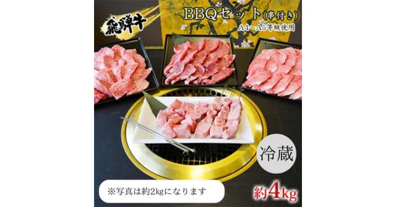 【ふるさと納税】串付き　飛騨牛BBQセット約4kg（A4～A5等級使用）　 お肉 牛肉 国産 バーベキュー ブランド和牛 お家焼肉 カルビ モモ 赤身 柔らかい ヒレ 霜降り 牛肉の女王様 旨み 真空パック 冷蔵 タレ付き