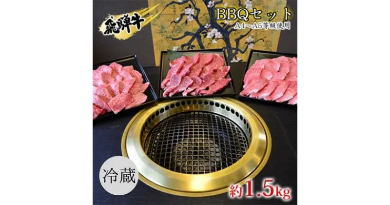 【ふるさと納税】飛騨牛　BBQセット　約1.5kg　A4～A5等級使用　 お肉 牛肉 国産 お家焼肉 バーベキュー カルビ 赤身 柔らかい モモ 霜降り 牛肉の女王様 ヒレ肉 旨味 真空パック 冷蔵 タレ付き