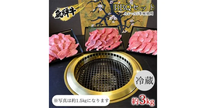 【ふるさと納税】飛騨牛　BBQセット　約3kg　A4～A5等級使用　 お肉 牛肉 国産 お家焼肉 バーベキュー カルビ 赤身 柔らかい モモ 霜降り 牛肉の女王様 ヒレ肉 旨味 真空パック 冷蔵 タレ付き