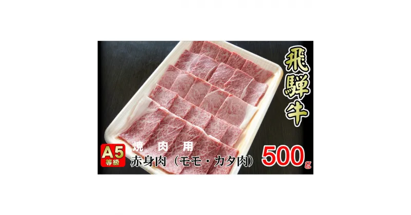 【ふるさと納税】牛肉 飛騨牛 焼き肉 セット 赤身 モモ 又は カタ 500g 黒毛和牛 A5 美味しい お肉 牛 肉 和牛 焼肉 BBQ バーベキュー 【岐阜県揖斐川町】　お肉・牛肉・モモ・お肉・牛肉・焼肉・バーベキュー