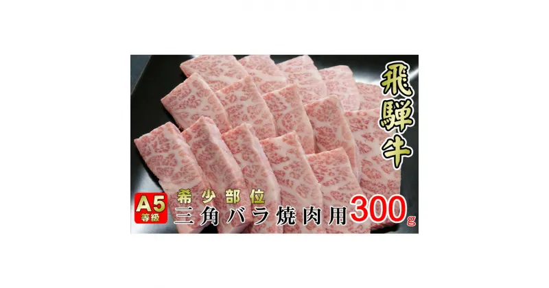 【ふるさと納税】牛肉 飛騨牛 焼肉 希少部位 三角バラ 300g 黒毛和牛 A5 美味しい お肉 牛 肉 和牛 焼き肉 BBQ バーベキュー 【岐阜県揖斐川町】　お肉・牛肉・バラ(カルビ)・お肉・牛肉・焼肉・バーベキュー