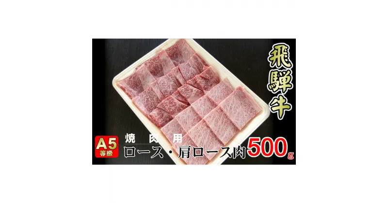 【ふるさと納税】牛肉 飛騨牛 焼き肉 セット ロース 又は 肩ロース 500g 黒毛和牛 A5 美味しい お肉 牛 肉 和牛 焼肉 BBQ バーベキュー 【岐阜県揖斐川町】　お肉・牛肉・ロース・お肉・牛肉・焼肉・バーベキュー