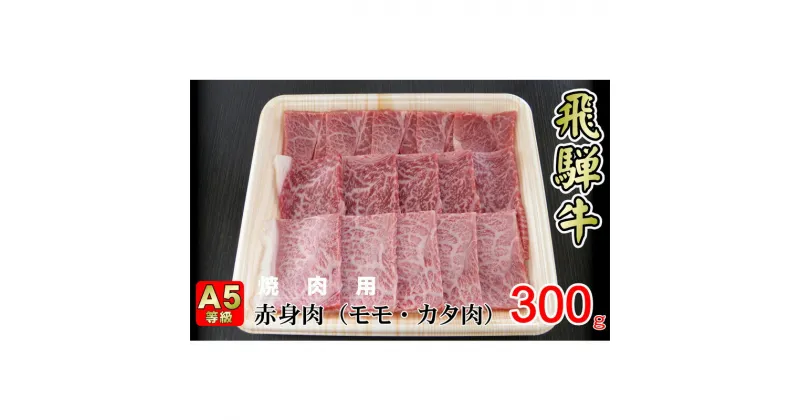 【ふるさと納税】牛肉 飛騨牛 焼き肉 セット 赤身 モモ 又は カタ 300g 黒毛和牛 A5 美味しい お肉 牛 肉 和牛 焼肉 BBQ バーベキュー 【岐阜県揖斐川町】　お肉・牛肉・モモ・お肉・牛肉・焼肉・バーベキュー