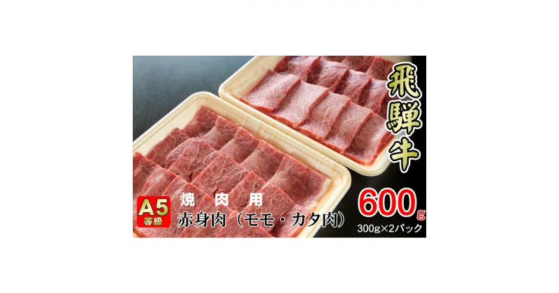 【ふるさと納税】牛肉 飛騨牛 焼き肉 セット 赤身 モモ 又は カタ 600g 黒毛和牛 A5 美味しい お肉 牛 肉 和牛 焼肉 BBQ バーベキュー 【岐阜県揖斐川町】　お肉・牛肉・モモ・お肉・牛肉・焼肉・バーベキュー