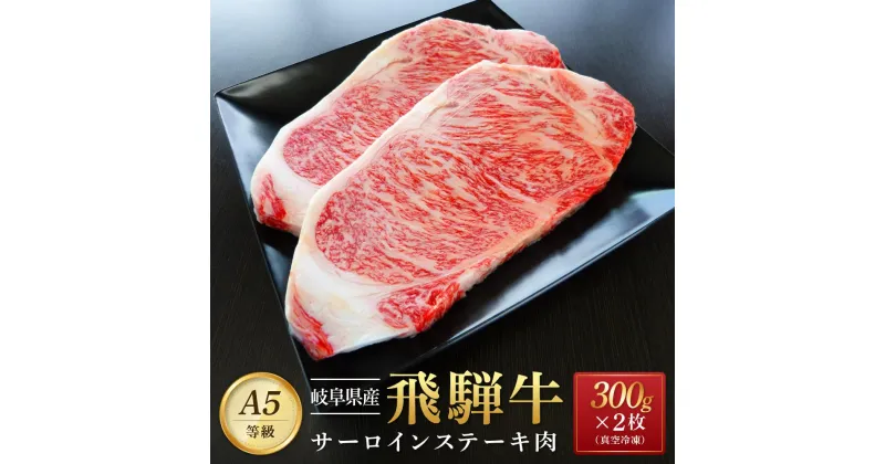 【ふるさと納税】飛騨牛 A5 サーロイン ステーキ用 600g（300g×2枚）｜国産 肉 牛肉 焼肉 ステーキ 和牛 黒毛和牛 A5等 級 グルメ おすすめ AD108【飛騨牛 和牛ブランド 飛騨牛 黒毛和牛 飛騨牛 岐阜 大野町 飛騨牛】