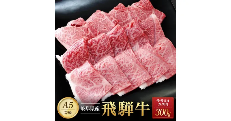 【ふるさと納税】飛騨牛A5 赤身肉 焼肉用 300g モモ 又は カタ 肉 ｜国産 肉 牛肉 焼肉 和牛 黒毛和牛 赤身 グルメ A5等級 おすすめ AD122 【飛騨牛 和牛ブランド 飛騨牛 黒毛和牛 飛騨牛 岐阜 大野町 飛騨牛】