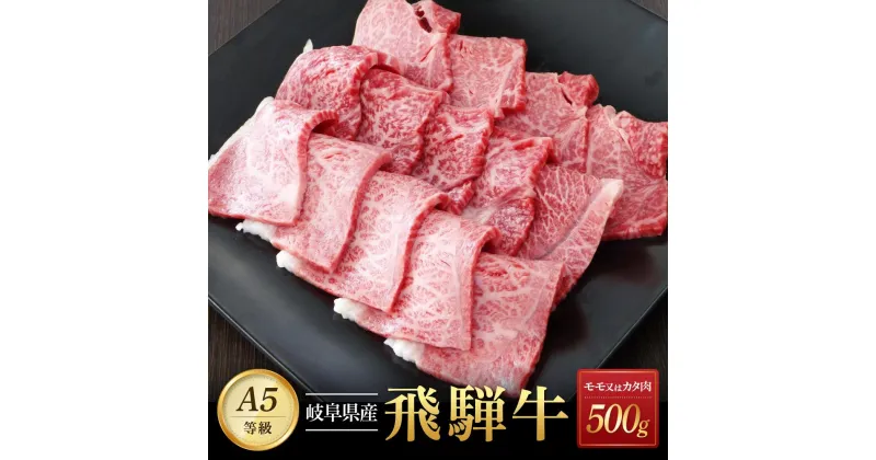 【ふるさと納税】飛騨牛A5 赤身肉 焼肉用 500g モモ 又は カタ 肉 ｜国産 肉 牛肉 焼肉 和牛 黒毛和牛 赤身 グルメ A5等級 おすすめ AD123 【飛騨牛 和牛ブランド 飛騨牛 黒毛和牛 飛騨牛 岐阜 大野町 飛騨牛】