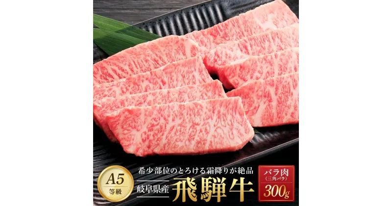 【ふるさと納税】飛騨牛「希少部位」A5 三角バラ 焼肉用 300g | 国産 肉 牛肉 焼肉 和牛 黒毛和牛 飛騨牛 希少部位 グルメ おすすめ AD101