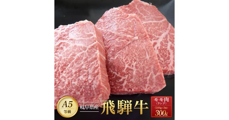 【ふるさと納税】飛騨牛「希少部位」A5 ランプ ステーキ用 300g | 国産 肉 牛肉 焼肉 和牛 黒毛和牛 希少部位 飛騨牛 国産和牛 お肉 グルメ おすすめ ブランド AD104