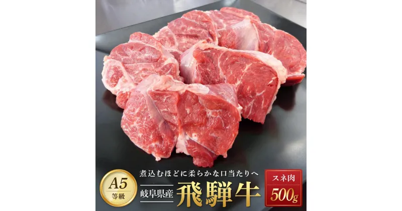 【ふるさと納税】飛騨牛 A5 スネ肉 カット 500g｜国産 肉 牛肉 和牛 黒毛和牛 A5等級 グルメ おすすめ AD106【飛騨牛 和牛ブランド 飛騨牛 黒毛和牛 飛騨牛 岐阜 大野町 飛騨牛】