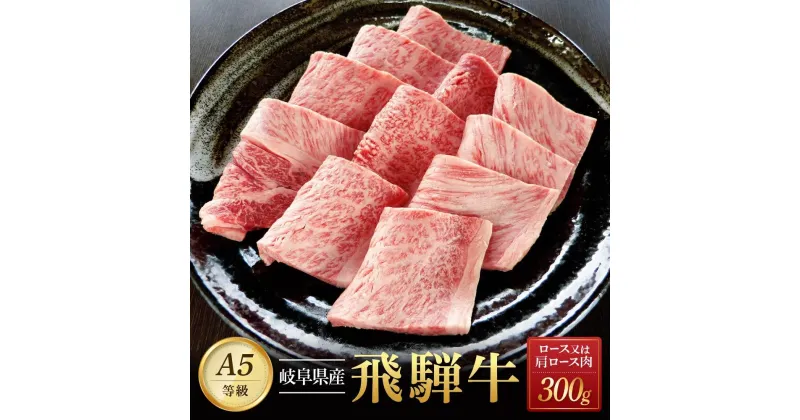 【ふるさと納税】飛騨牛A5 焼肉用 300g ロース 又は 肩ロース肉 ｜国産 肉 牛肉 焼肉 和牛 黒毛和牛 グルメ A5等級 おすすめ AD114【飛騨牛 和牛ブランド 飛騨牛 黒毛和牛 飛騨牛 岐阜 大野町 飛騨牛】