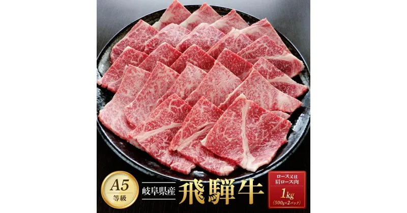 【ふるさと納税】飛騨牛A5 焼肉用 1kg（500g×2パック）ロース 又は 肩ロース 肉 ｜国産 肉 牛肉 焼肉 和牛 黒毛和牛 グルメ A5等級 おすすめ AD117【飛騨牛 和牛ブランド 飛騨牛 黒毛和牛 飛騨牛 岐阜 大野町 飛騨牛】