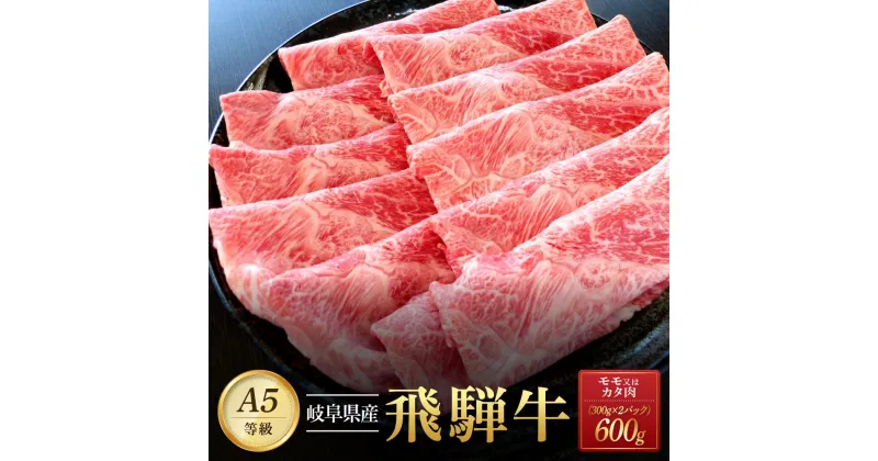 【ふるさと納税】飛騨牛A5 赤身肉 スライス 600g（300g×2パック）モモ 又は カタ 肉 ｜国産 肉 牛肉 焼肉 すき焼き しゃぶしゃぶ 和牛 黒毛和牛 赤身 グルメ A5等級 おすすめ AD120【飛騨牛 和牛ブランド 飛騨牛 黒毛和牛 飛騨牛 岐阜 大野町 飛騨牛】