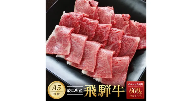 【ふるさと納税】飛騨牛A5 赤身肉 焼肉用 600g （300g×2パック） モモ 又は カタ 肉 ｜国産 肉 牛肉 焼肉 和牛 黒毛和牛 赤身 グルメ A5等級 おすすめ AD124 【飛騨牛 和牛ブランド 飛騨牛 黒毛和牛 飛騨牛 岐阜 大野町 飛騨牛】