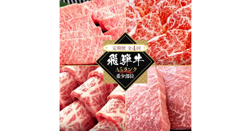 【ふるさと納税】【全4回定期便】飛騨牛A5 「希少部位」全4回 1.2kg（三角バラ カイノミ イチボ ランプ）｜国産 肉 牛肉 焼肉 和牛 黒毛和牛 グルメ おすすめ【飛騨牛 和牛ブランド 飛騨牛 黒毛和牛 飛騨牛 岐阜 大野町 飛騨牛】 | 肉 お肉 にく 岐阜県産 人気 おすすめ