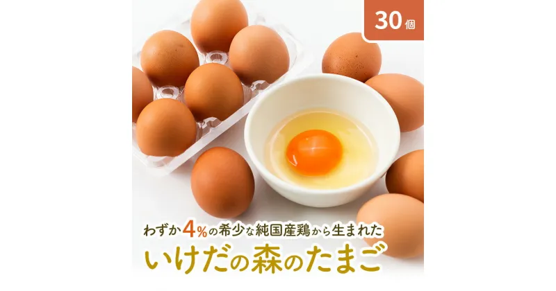 【ふるさと納税】卵 わずか4%の希少な純国産鶏 いけだの森たまご 30個 こだわり おこめのたまご 玉子 鶏卵 生卵 産地直送 冷蔵配送 TKG 卵かけご飯 岐阜県産　 岐阜県 池田町