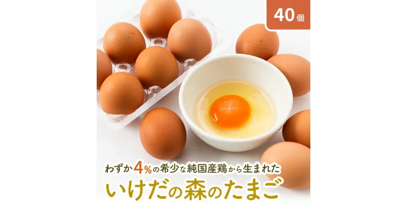 【ふるさと納税】卵 わずか4%の希少な純国産鶏 いけだの森たまご 40個 こだわり おこめのたまご 玉子 鶏卵 生卵 産地直送 冷蔵配送 TKG 卵かけご飯 岐阜県産　 岐阜県 池田町